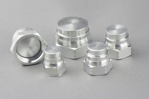 BSP 60Degree Cone Seal Female Plug